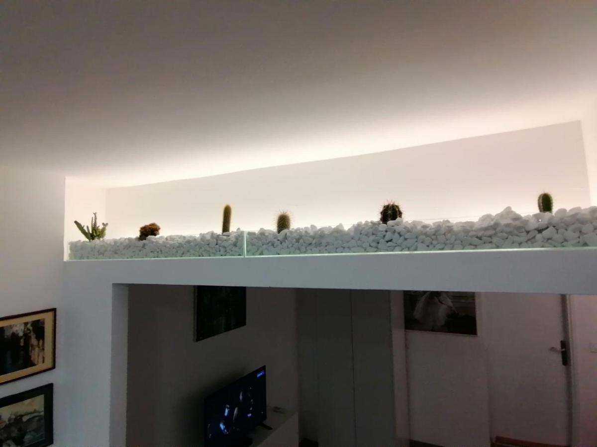 Apartman Dunja S Belgrade Exterior photo
